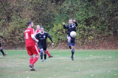 181028_Mölschbach_IMG_2634