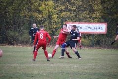 181028_Mölschbach_IMG_2645