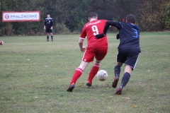 181028_Mölschbach_IMG_2651