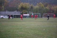 181028_Mölschbach_IMG_2663