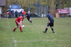 181028_Mölschbach_IMG_2664