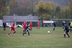 181028_Mölschbach_IMG_2666