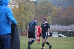 181028_Mölschbach_IMG_2731