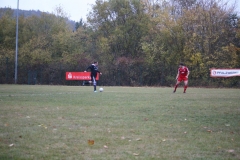 181028_Mölschbach_IMG_2758