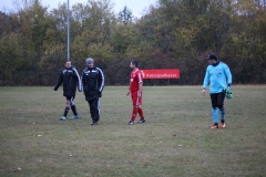 181028_Mölschbach_IMG_2788