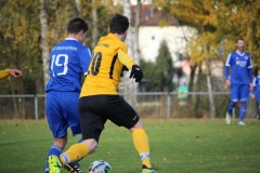 181101_Neuhemsbach_IMG_2807
