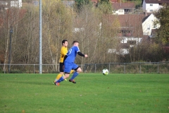 181101_Neuhemsbach_IMG_2808