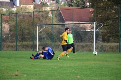 181101_Neuhemsbach_IMG_2809