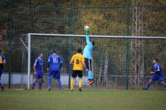181101_Neuhemsbach_IMG_2818
