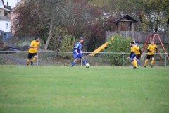 181101_Neuhemsbach_IMG_2821