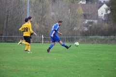 181101_Neuhemsbach_IMG_2825