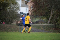 181101_Neuhemsbach_IMG_2834