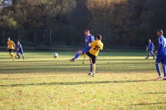 181101_Neuhemsbach_IMG_2864