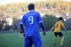 181101_Neuhemsbach_IMG_2880