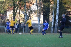 181101_Neuhemsbach_IMG_2881