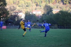 181101_Neuhemsbach_IMG_2886
