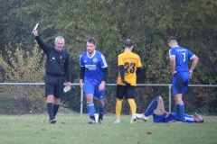 181101_Neuhemsbach_IMG_2887