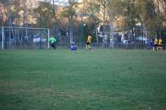 181101_Neuhemsbach_IMG_2894