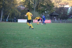 181101_Neuhemsbach_IMG_2896