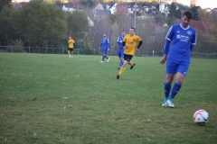181101_Neuhemsbach_IMG_2902