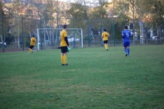 181101_Neuhemsbach_IMG_2911