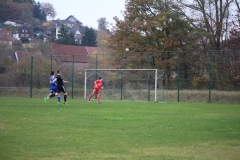 181104_Trippstadt_IMG_2972
