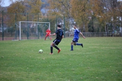 181104_Trippstadt_IMG_3020