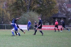181104_Trippstadt_IMG_3025