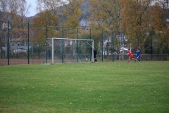 181104_Trippstadt_IMG_3028