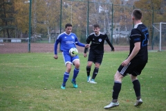181104_Trippstadt_IMG_3047