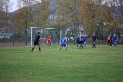 181104_Trippstadt_IMG_3050