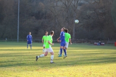 181118_Waldleiningen_IMG_3104
