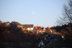 181118_Waldleiningen_IMG_3184