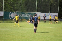 IMG_5517
