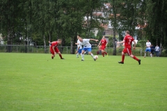 190811_Mölschbach-53-von-71