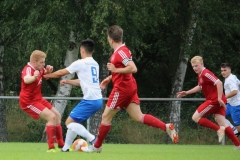 190811_Mölschbach-57-von-71