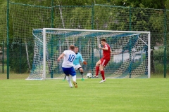 190811_Mölschbach-63-von-71