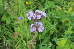220526_Goetzwanderung-53