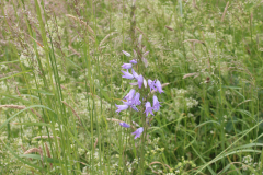 220526_Goetzwanderung-56