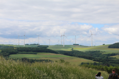 220526_Goetzwanderung-78
