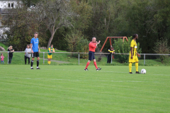 IMG_6911
