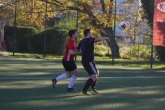 2210_Kerwe-34