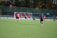 2210_Kerwe-4