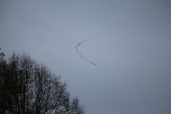 221120_Hochspeyer-24