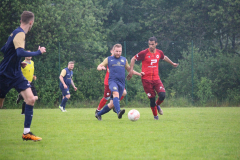 IMG_8206