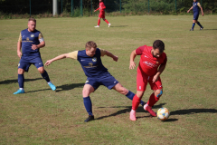 240915_TDSV-11-von-50