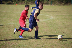 240915_TDSV-12-von-50