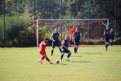 240915_TDSV-13-von-50