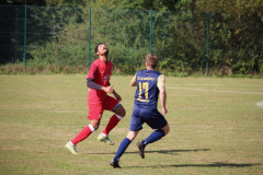 240915_TDSV-14-von-50