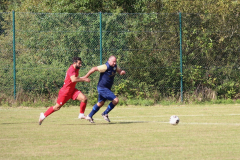 240915_TDSV-15-von-50